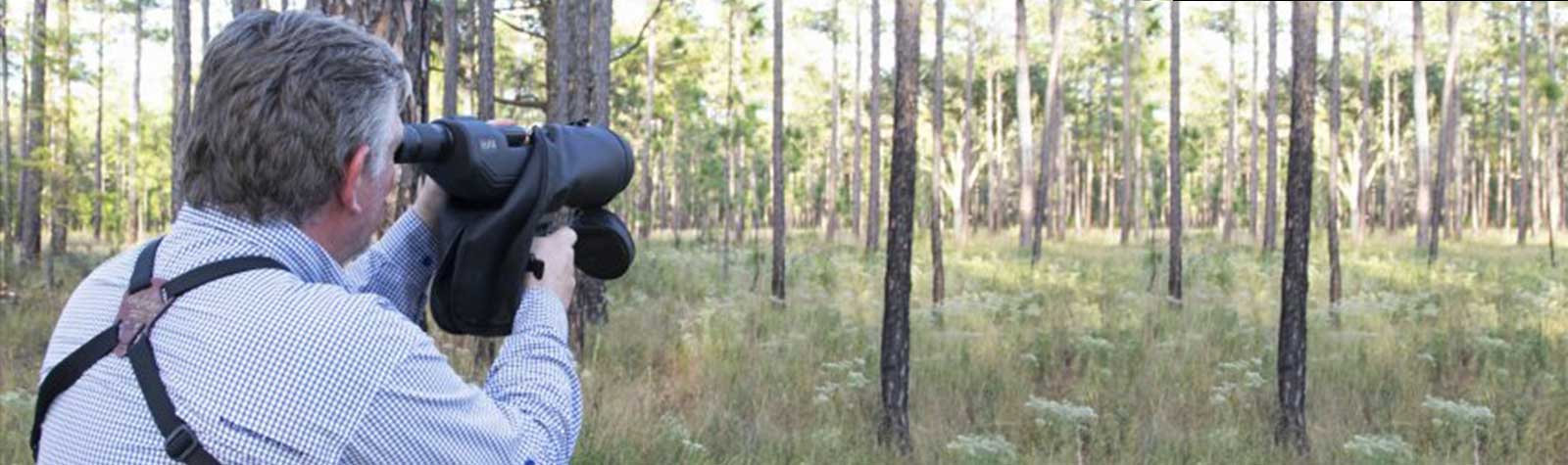Tips for Enjoying Wildlife with Spotting Scopes- Don’t Miss It